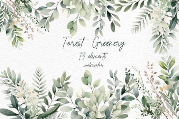 Download Greenery Watercolor Clipart Foliage - Foliage Collection