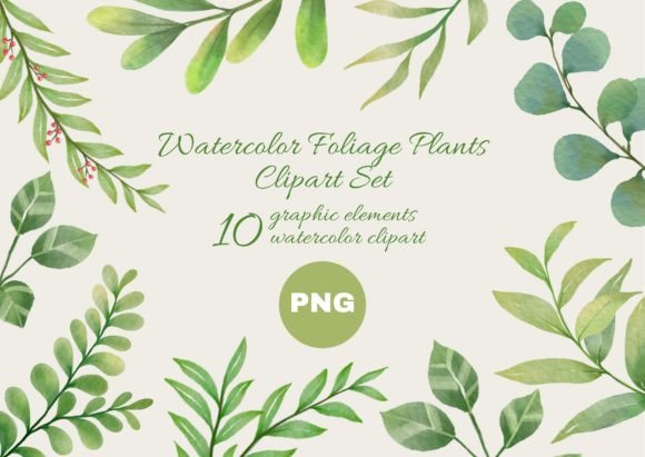 Download Watercolor Foliage Plants Clipart Set - Foliage Collection