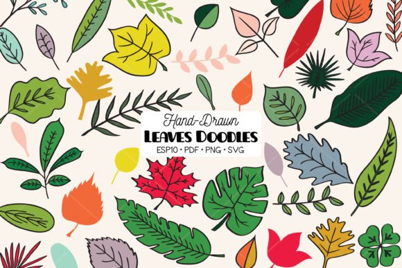 Download Colored Leaves | Tropical Foliage Plant - Foliage Collection