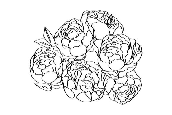 Download Bouquet of Peony Flowers Elegance Linear - Bouquet Collection