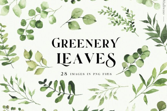 Download Green Leaves Watercolor Clipart Foliage - Foliage Collection