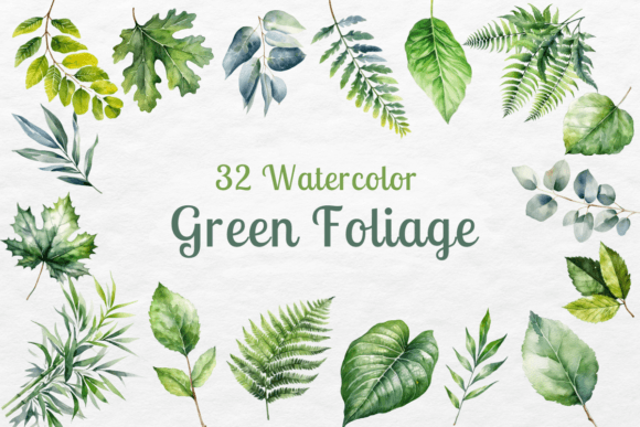 Download Foliage Clipart Watercolor - Foliage Collection